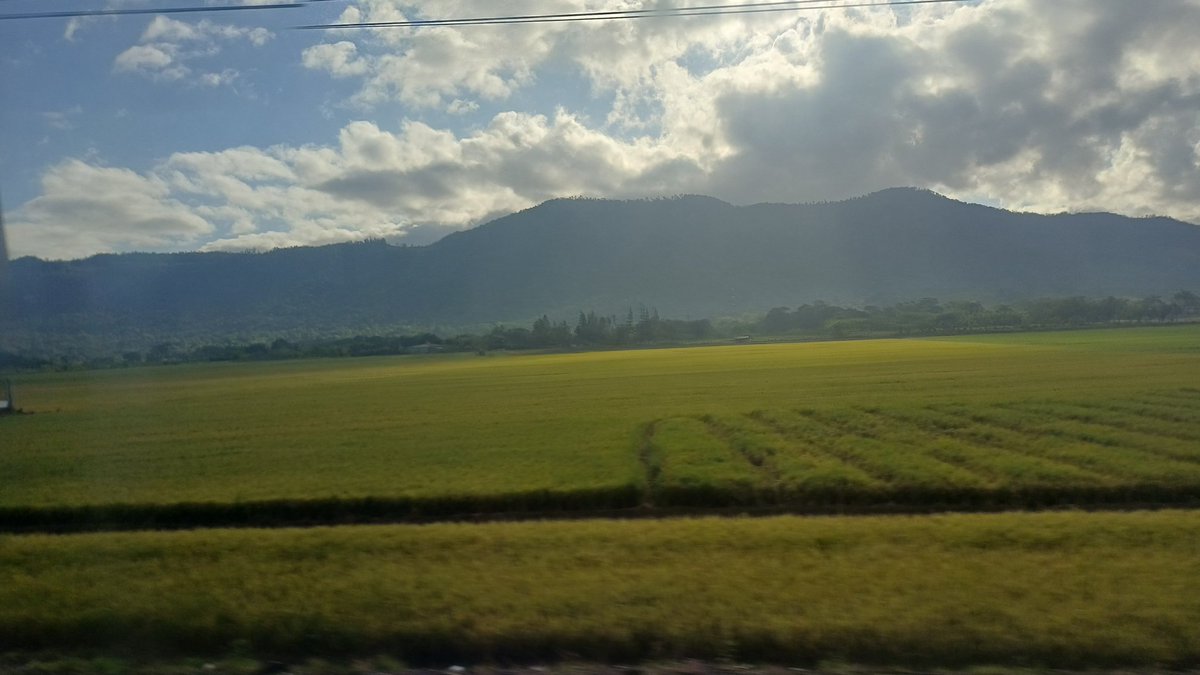 yirarod's tweet photo. Soleado  #ElSitio #Carajitadecampo #Bonao #LaPeguera https://t.co/Qwd4JLJsxc