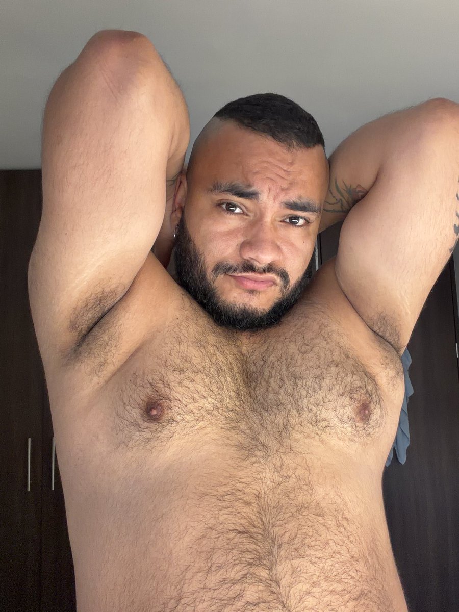 Bear 🐻 tweet media