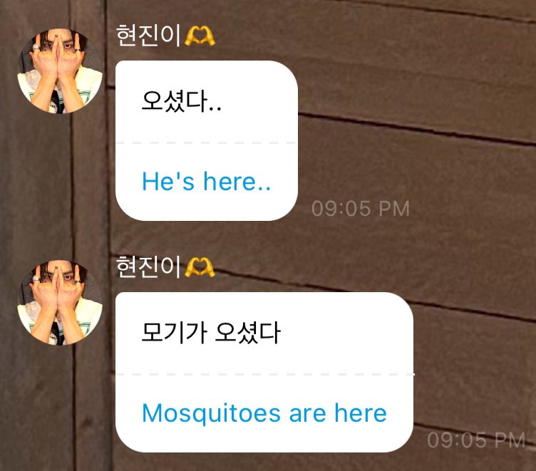 현빵 tweet media