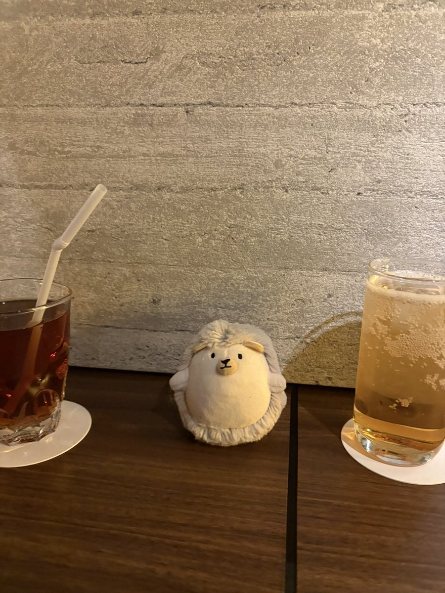 kkrcho2's tweet photo. #ぬい活 #忘れてた訳じゃないよ https://t.co/TcjzX3mbEx