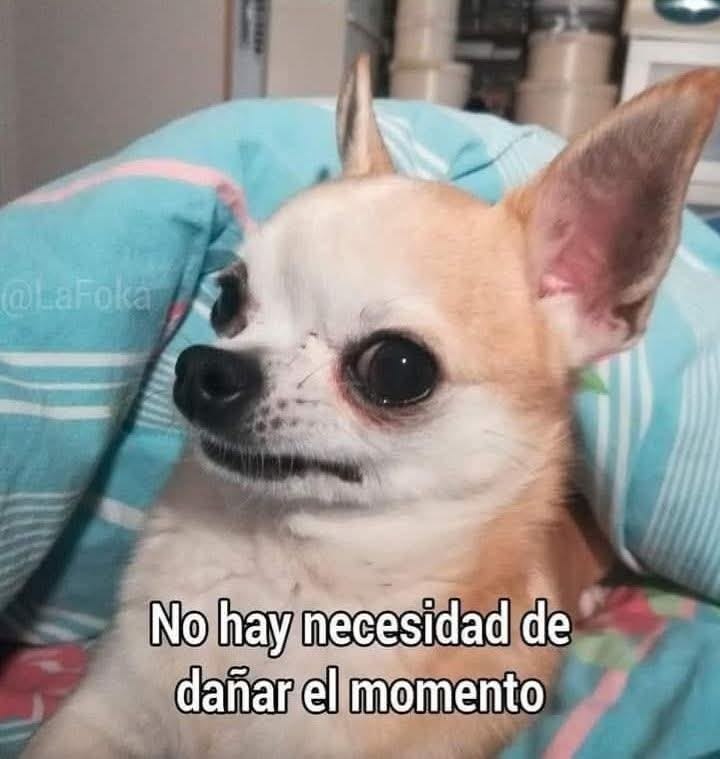 Cuando nos estamos riendo con mi jefe y de repente me manda a trabajar:
