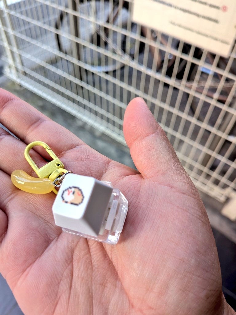kajiham's tweet photo. 楽しかった‼️初ローデンツ🐹✨️
クリッカーもゲットできたし✨️
浅草も探索💨また行きたい😆

#ローデンツ東京
#ハムスター https://t.co/U1oLHCvJE6