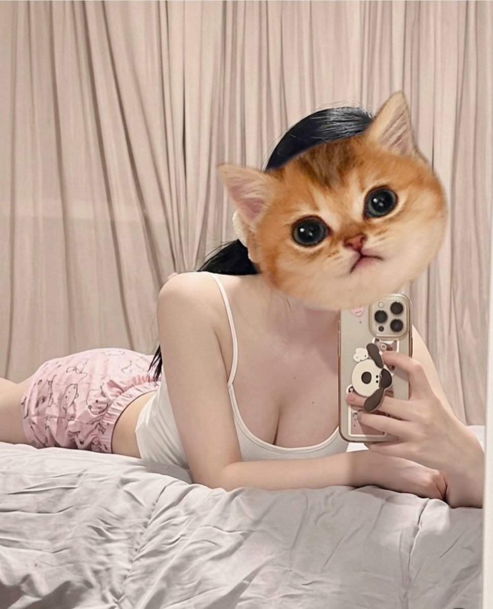 LanAnh tweet media