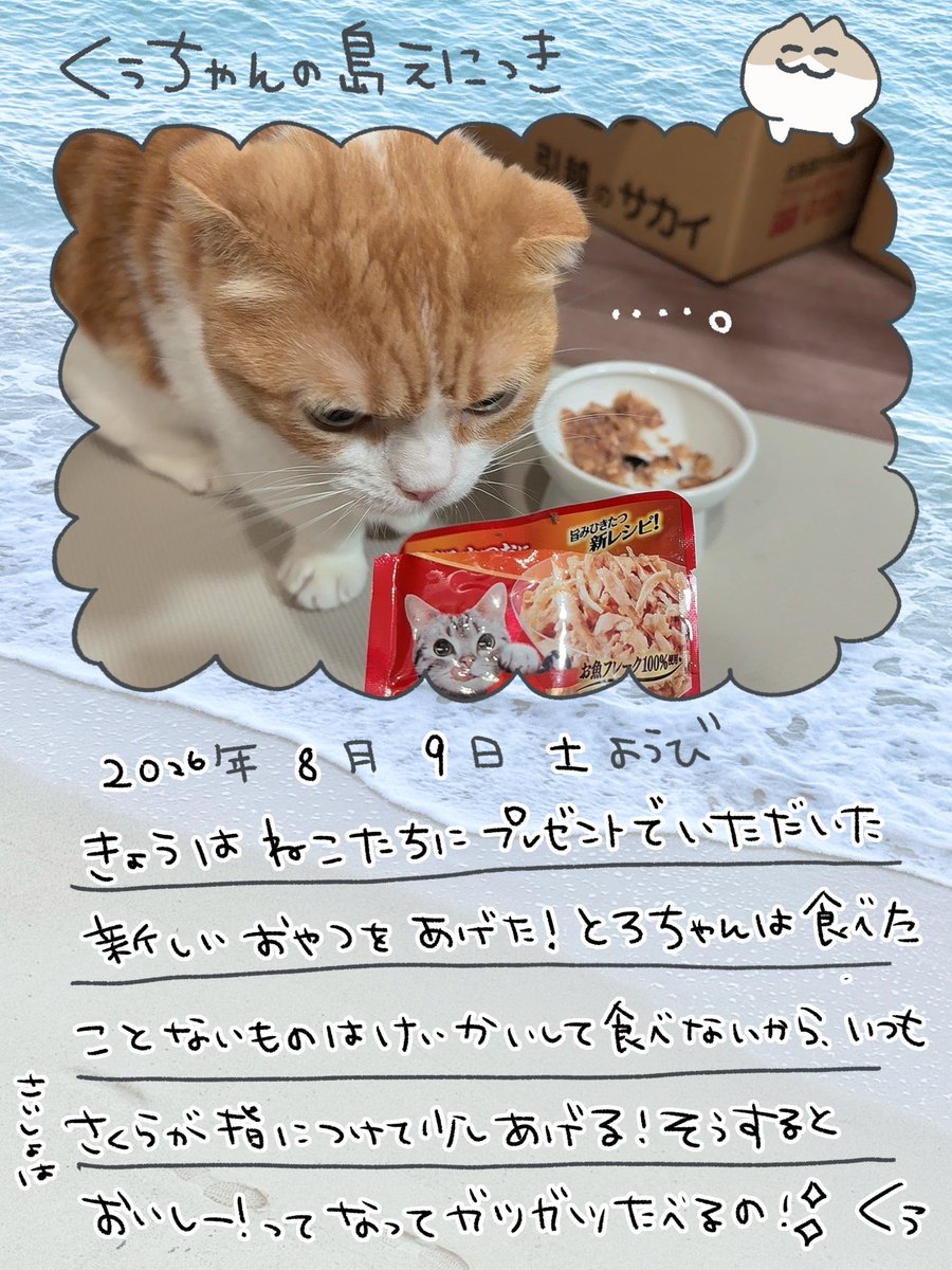 沙倉くぅ🍴‎🤍 5/16新モデル公開 tweet media