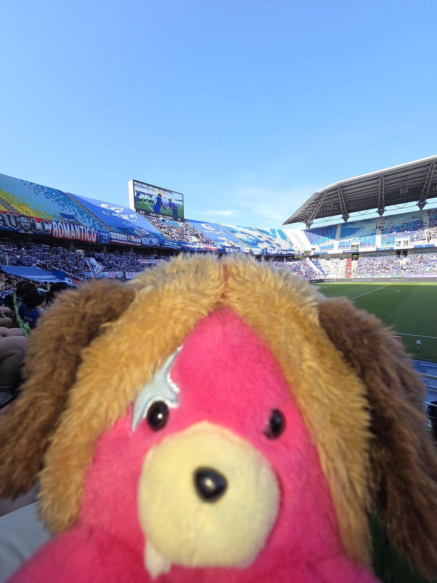 개 tweet media