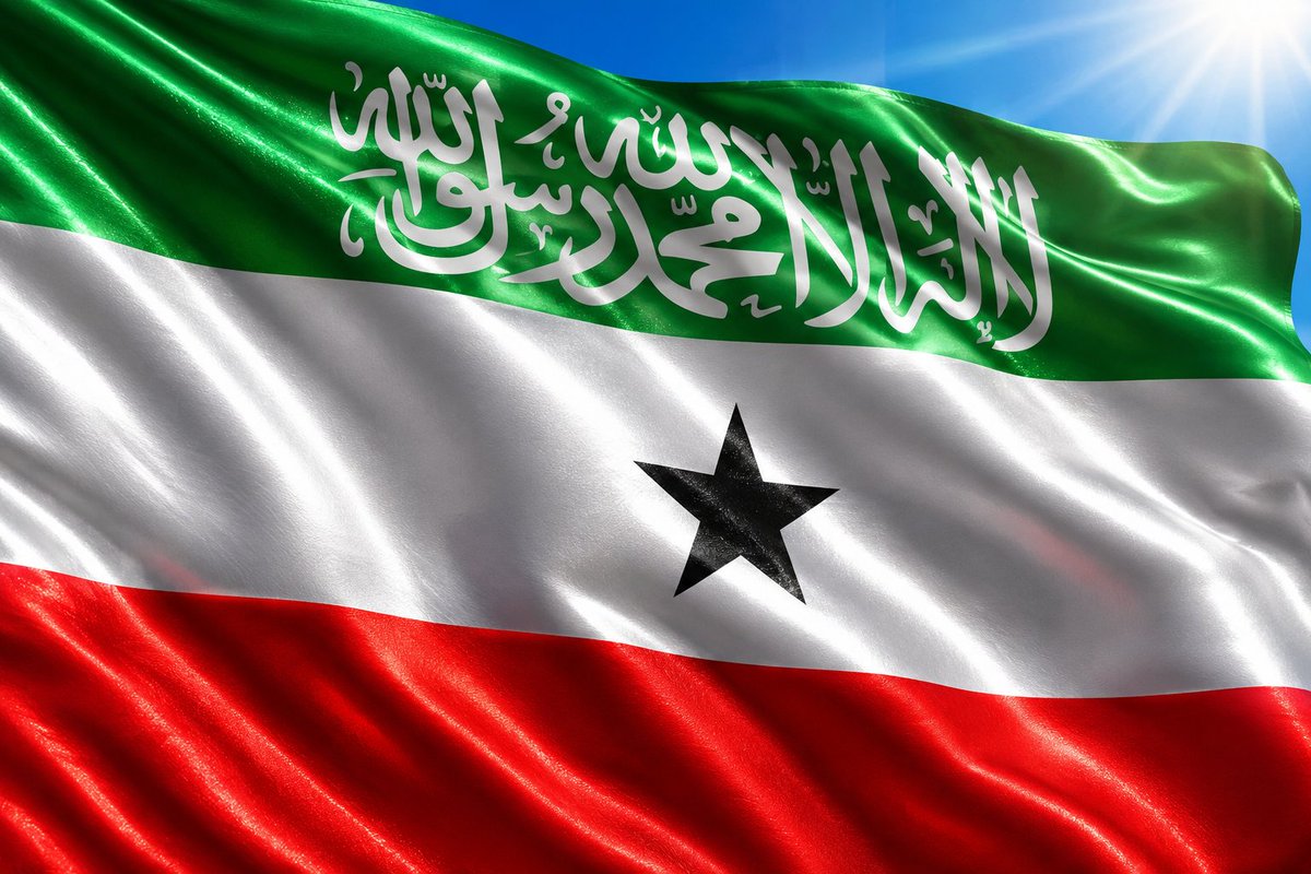 هاني مسهور tweet media
