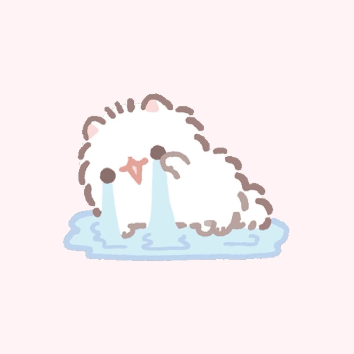 るかるかる~か🍣(お手紙垢) tweet media