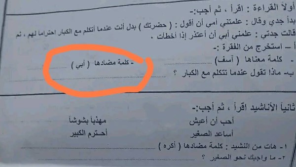 شاهيناز طاهر tweet media