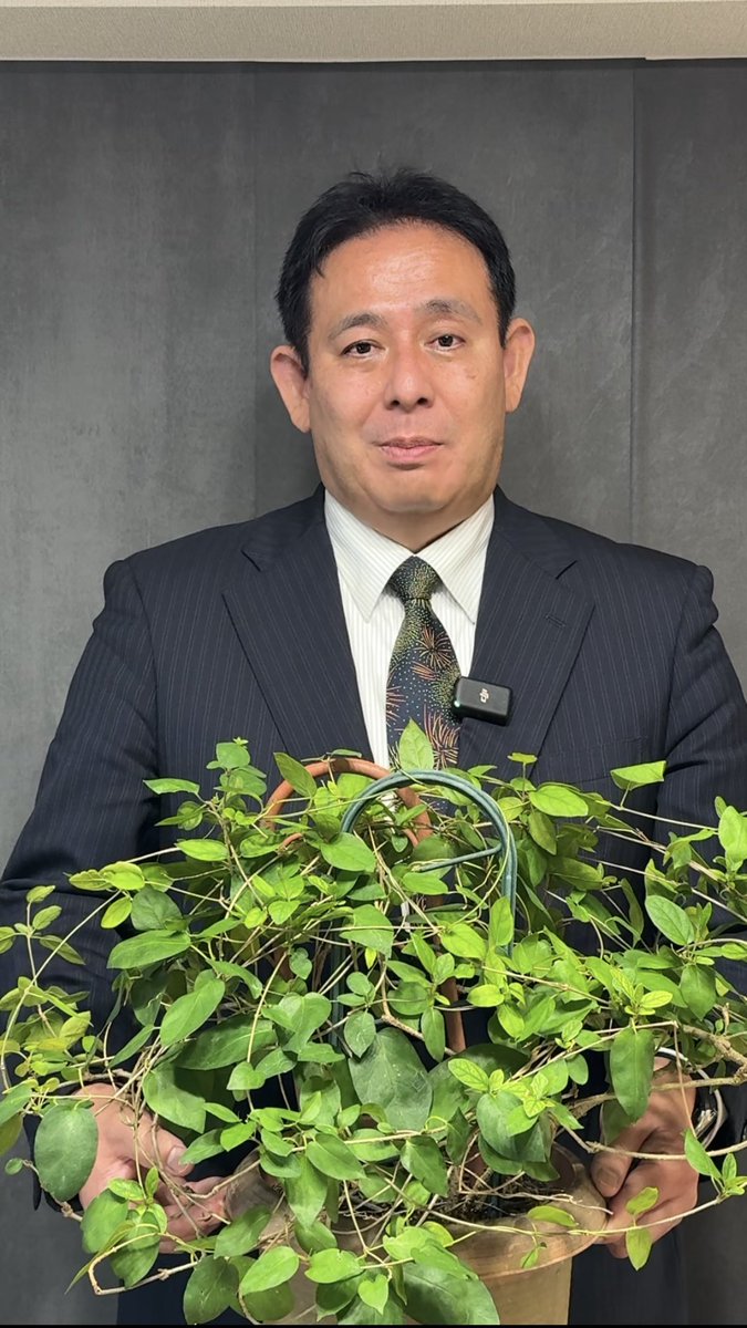 ラムダ🥒ラムダ技術部 tweet media