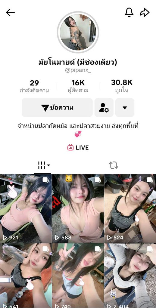 สายลูบคลำ tweet media