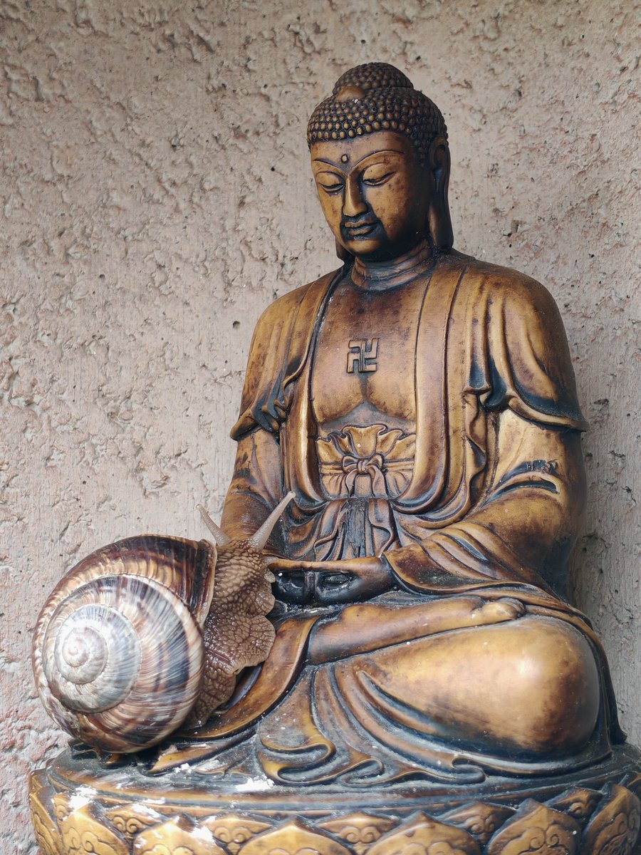 RCirlea's tweet photo. There are things we cannot see due to our karmic limitations, but I assure you, dear friends, that even in this world filled with so much suffering and difficulties, we are living in an ocean of Compassion, surrounded by many manifestations of Amida and all Buddhas who are guiding and blessing us constantly, day and night. Please respond to this infinite benevolence with the Nembutsu of Faith.
Namo Amida Bu, Namo Amida Bu, Namo Amida Bu 🙏

(photo: a snail resting with Amida Buddha - garden of Amidaji temple, Romania) 

#buddhism #jodoshinshu #shinbuddhism #amitabha #shinjin #amidabuddha #shinranshonin #honenshonin #rennyoshonin #amituofo #pureland #amidaji #amidajitemple
