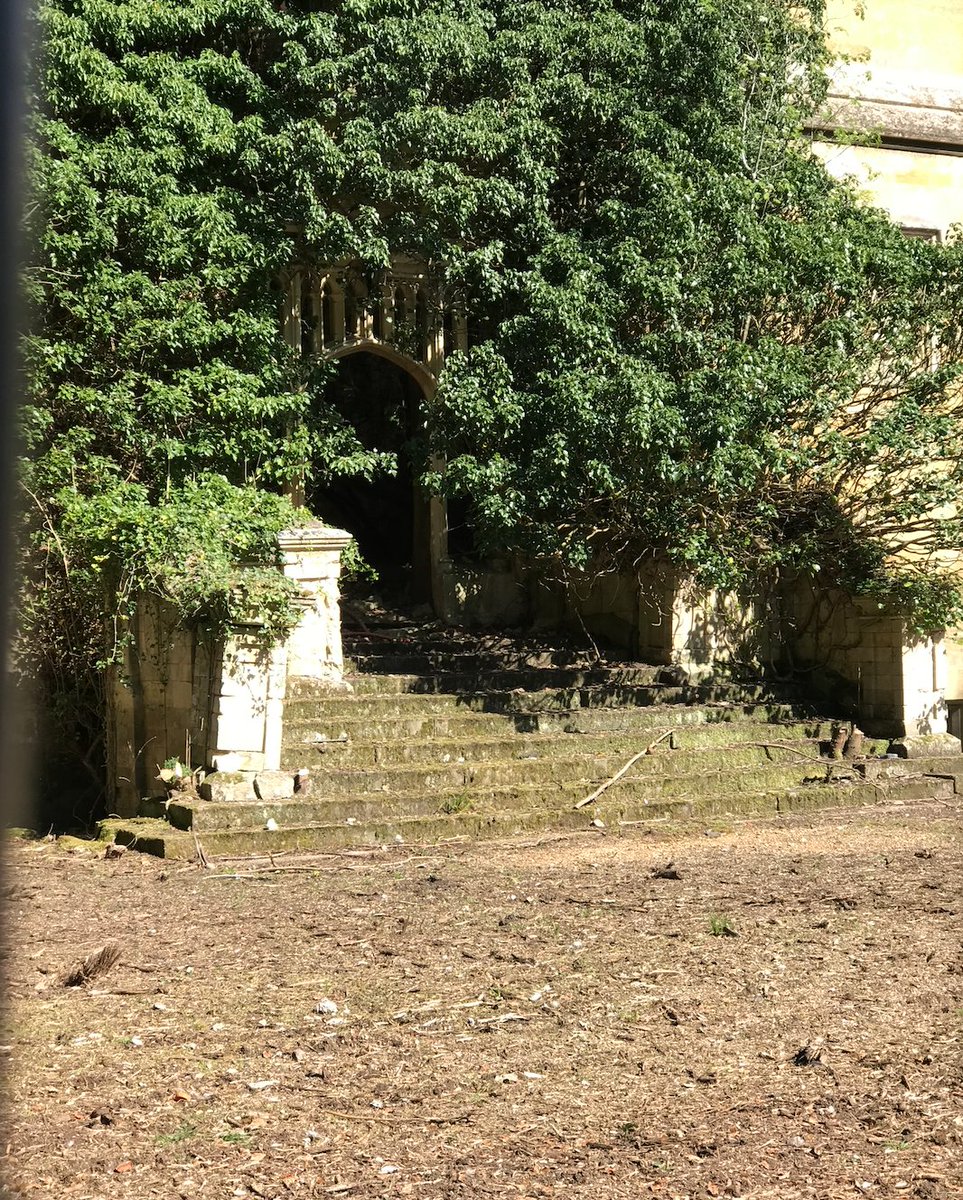 KingStreetRun's tweet photo. The ruins of Nocton Hall, Lincolnshire are worthy of Lothlórien. The original building was 16th century but underwent major changes in the 17th &amp; 19th centuries. Sadly, arsonists burnt it down in 2004 but, reclaimed by nature, the ruins have an otherworldly beauty. #Archaeology https://t.co/7Kk9CnauyJ