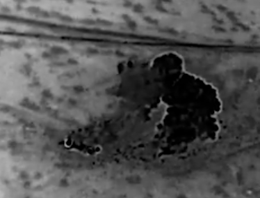 イランは詰んだ...

☑️トランプ政権に追い詰められたイランが、カーグ島の石油を大量流出ーーペンタゴンはコメントを拒否。

カーグ島沖で衛星画像に映し出された油膜は、約71平方キロメートルにまで拡大。

開戦70日間で最大規模の流出とみられている。回収は不可能とみられる。