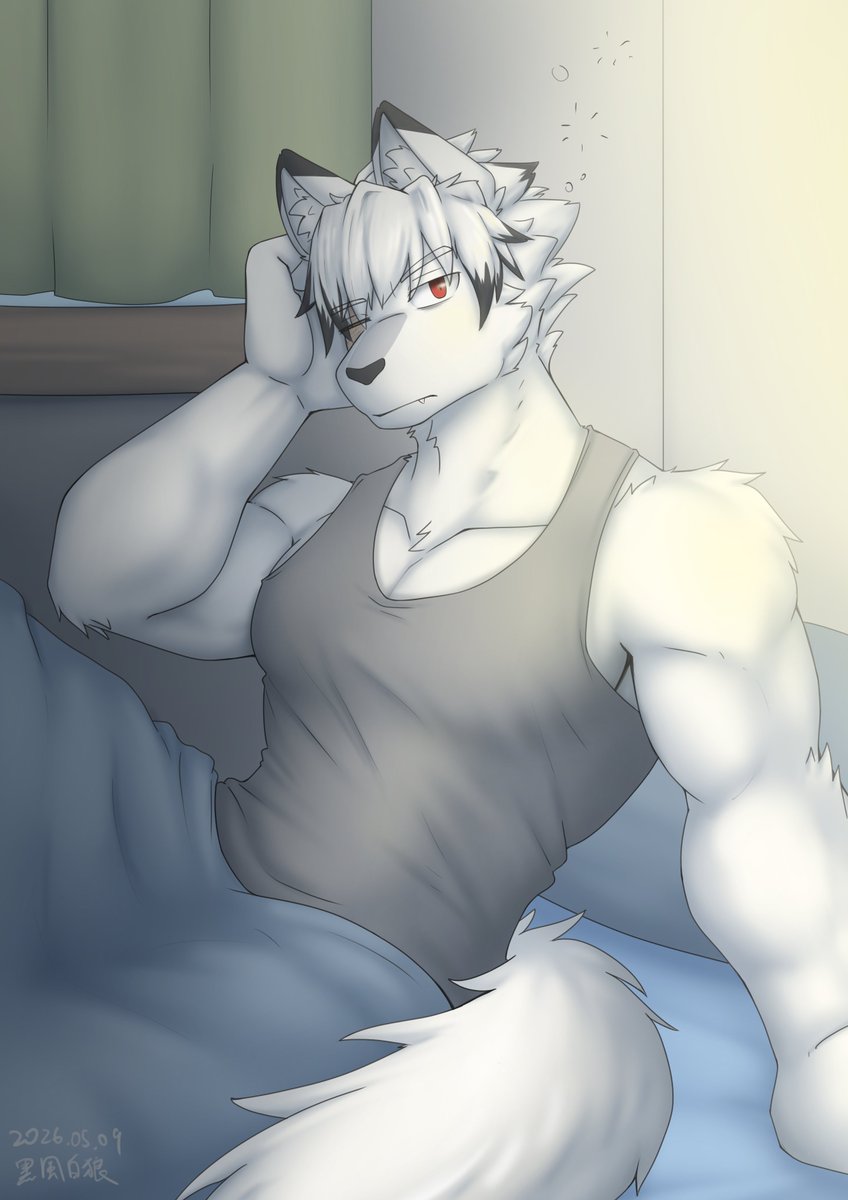過勞執事萊卡恩 :3
A overworked wolf butler :3
#ZZZ #VonLycaon #lycaon #FurryFanart