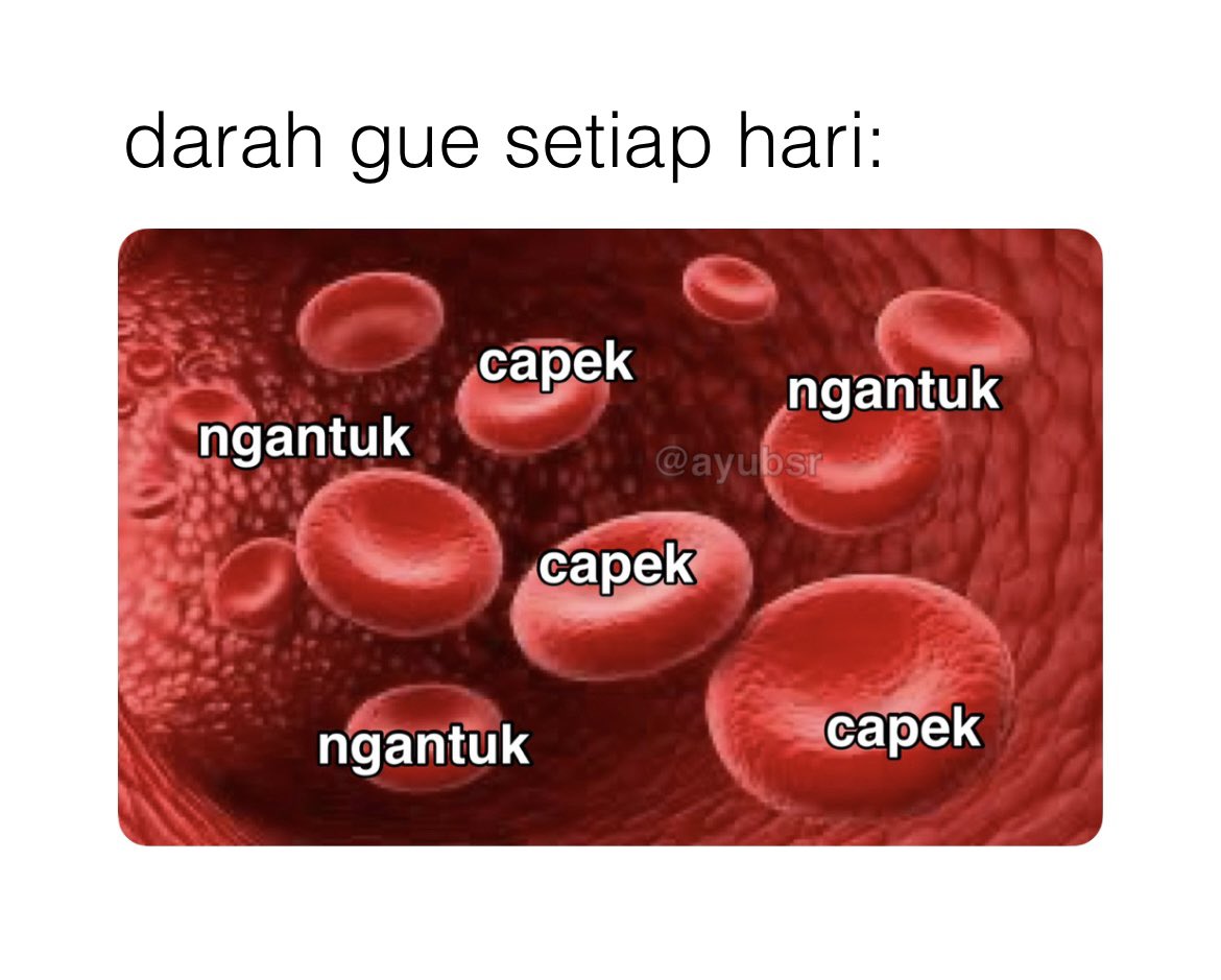 ayubsr's tweet photo. kalo gak capek, ya ngantuk banget https://t.co/omNJVajk1T