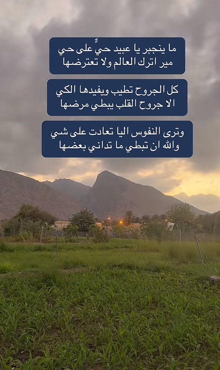 قلب الاسد tweet media