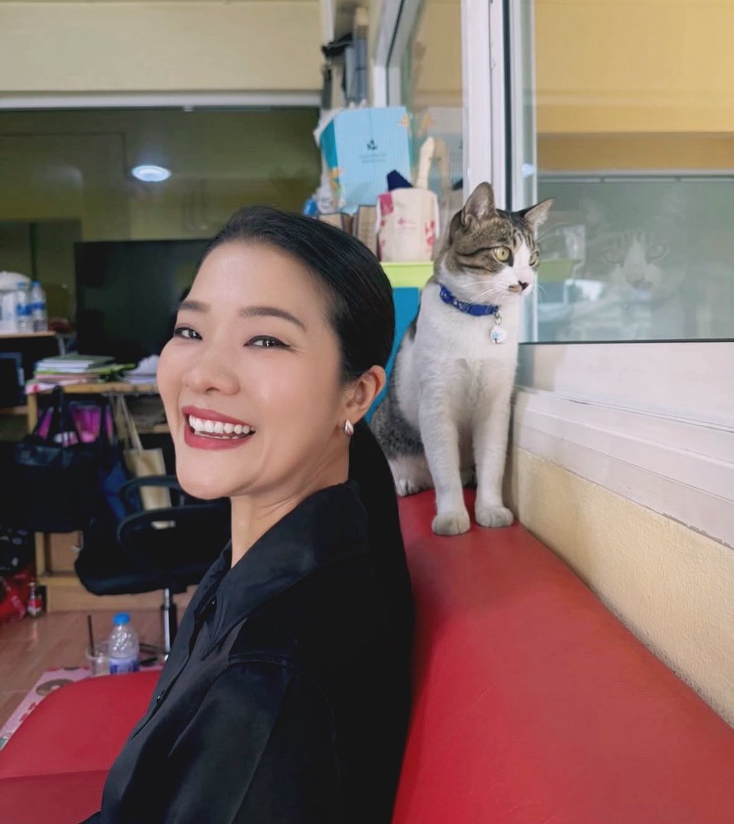ในรูปนี้มีแงวกี่ตุวว 😽🐱🐱