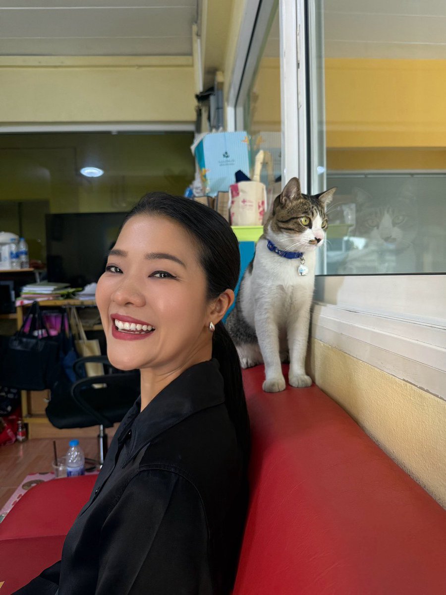น่ารักเชียว🫸🏻🐈🫷🏻