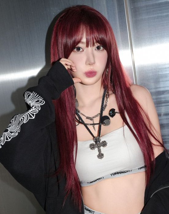 sakura pics. (@39biooms) on Twitter photo 
