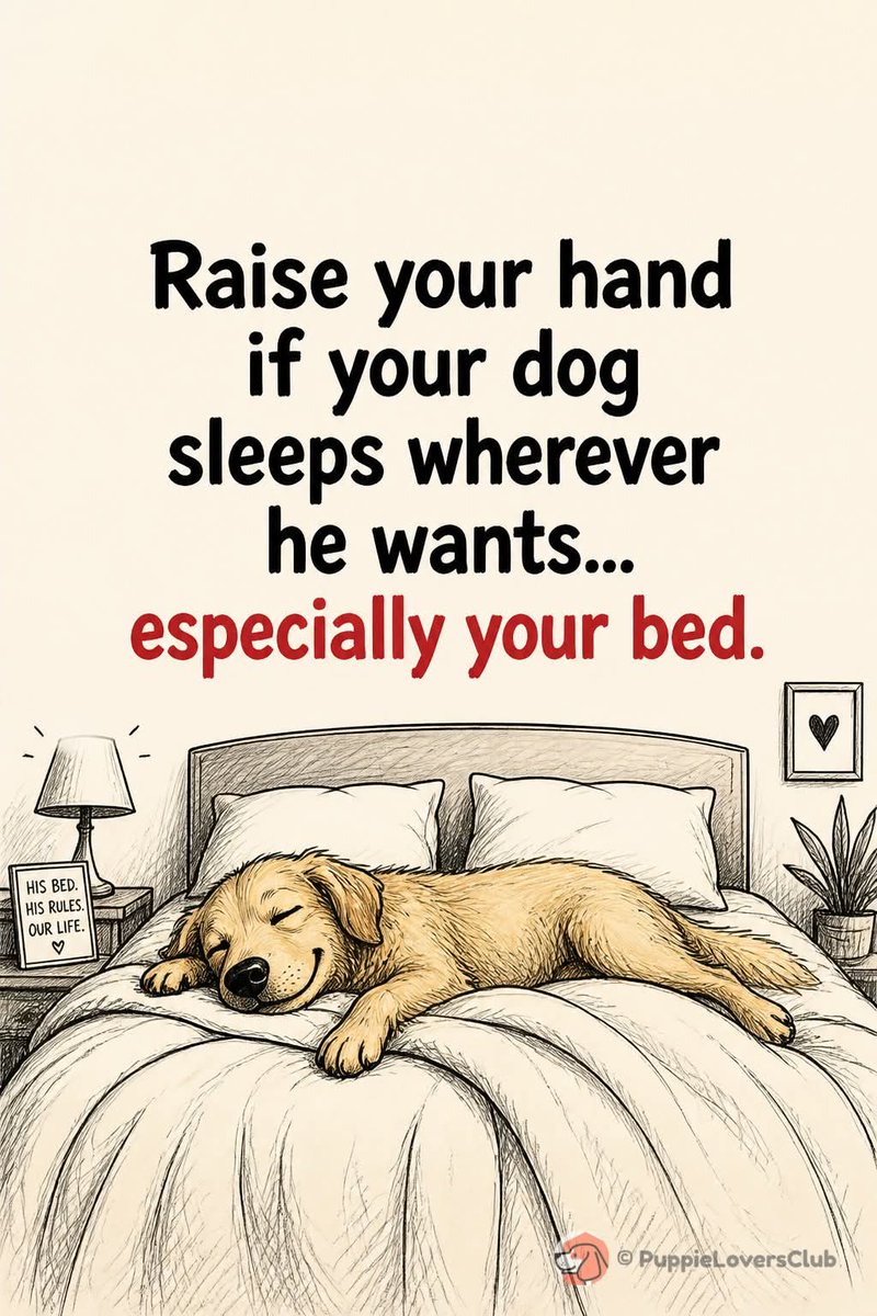 Rise your hand?