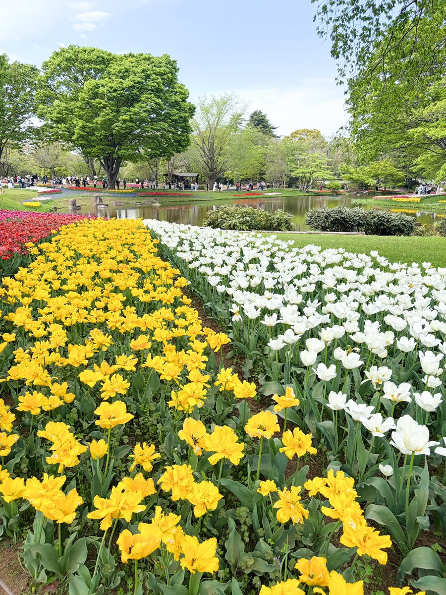 마 tweet media