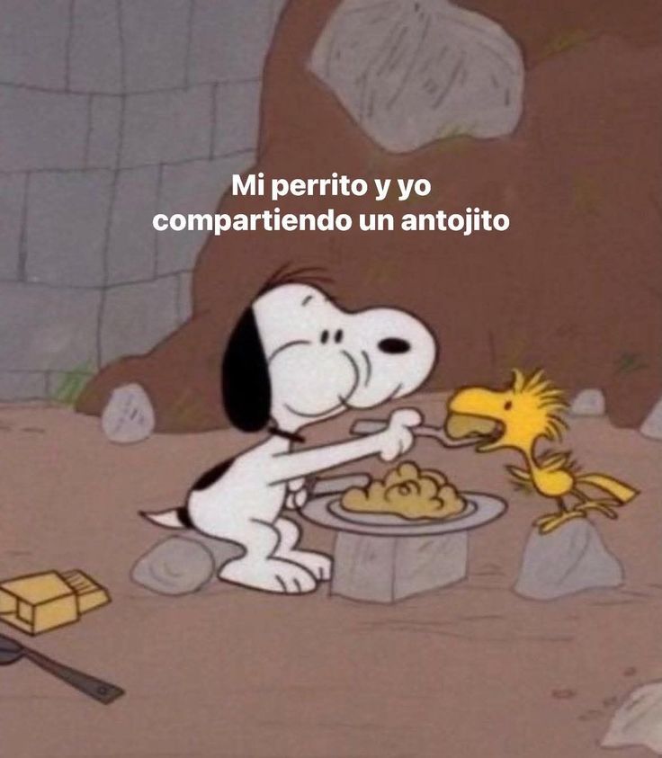 Max 🇦🇷 tweet media