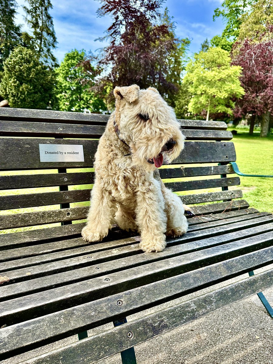Bertie Lakeland tweet media