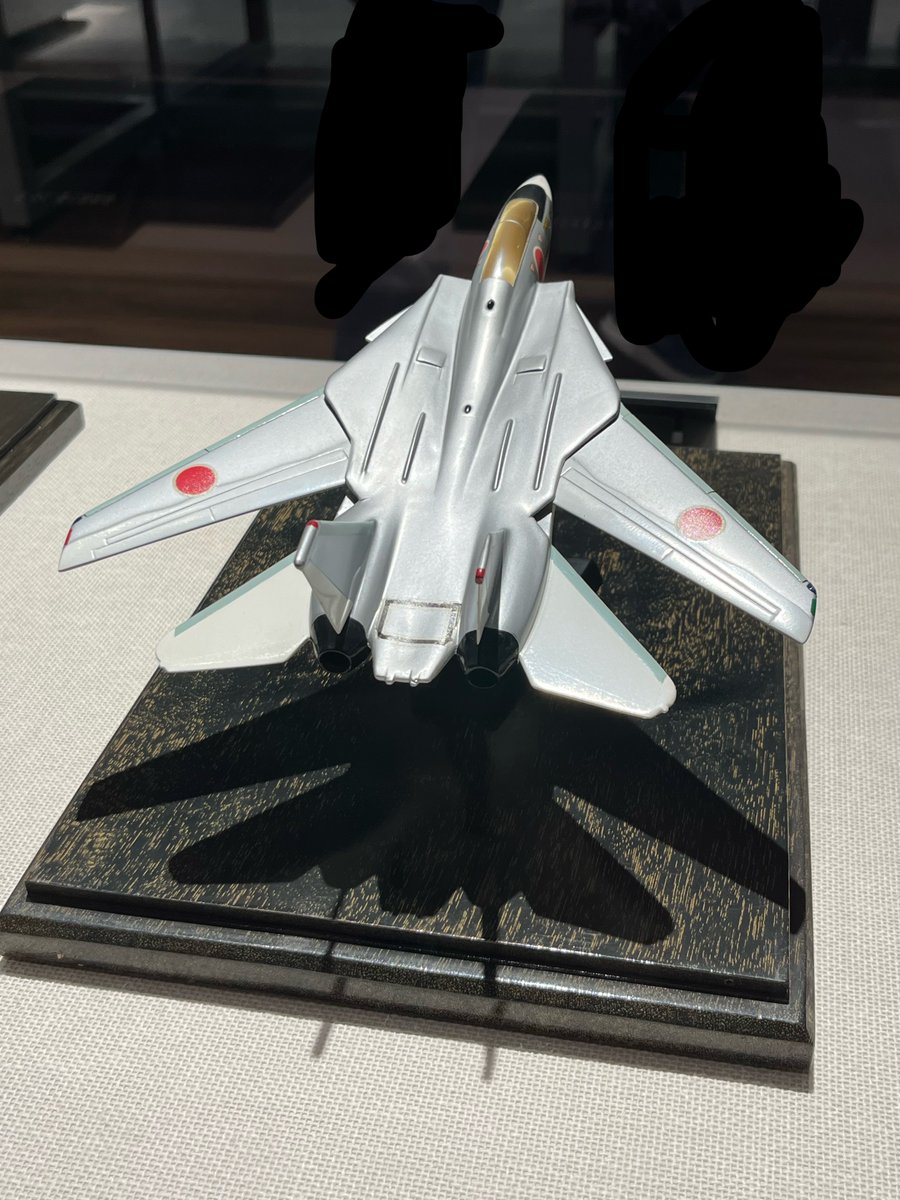 #アメリカ陸海空軍の航空機を一機貰えるならどれ
F-14トムキャット🐈
