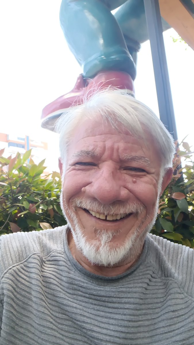 Ali Fikri Işık. tweet media