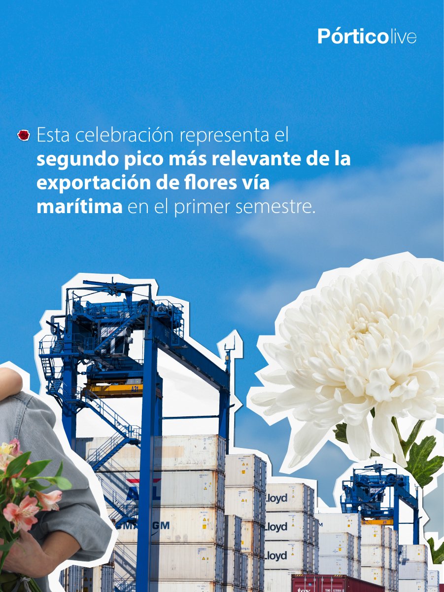 PuertoCTG's tweet photo. Este fin de semana celebramos el Día de la Madre y también el comportamiento de las exportaciones de flores vía marítima en esta temporada.
 
Les contamos tres datos importantes:
 
1️⃣ Es este el segundo pico de exportaciones del primer semestre.
 
2️⃣ La participación (en volumen) de los envíos del año para cubrir esta celebración es de 18%.
 
3️⃣ En 2026 las perspectivas son mucho mejores que las del año anterior.
 
✔️ Lee el artículo completo aquí: https://t.co/ybJOLKZR0y