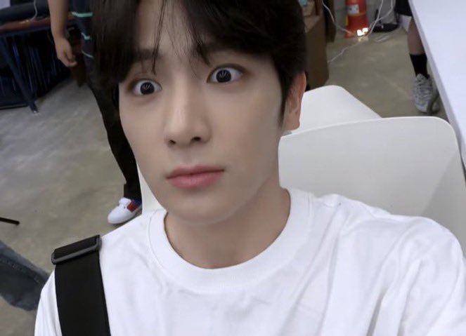 잎 tweet media