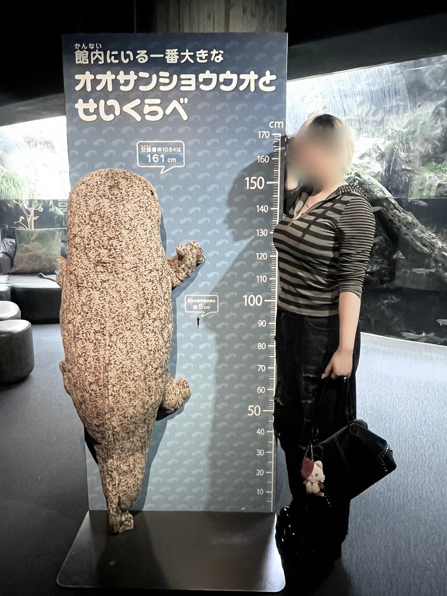 ☪︎ tweet media