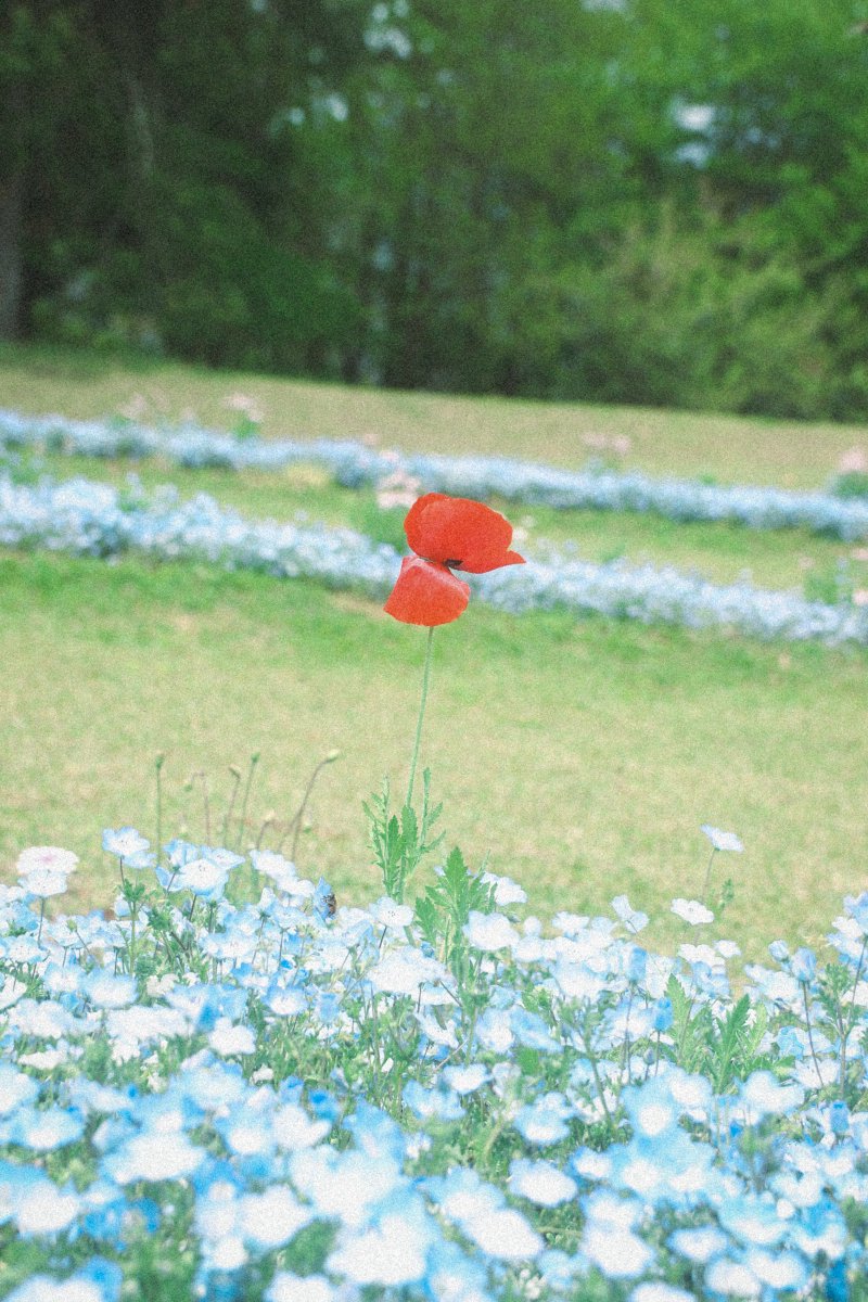 天崎 tweet media