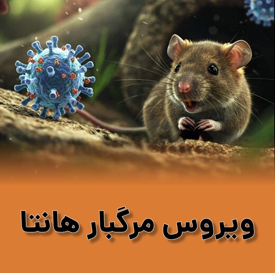 درز کامنت tweet media