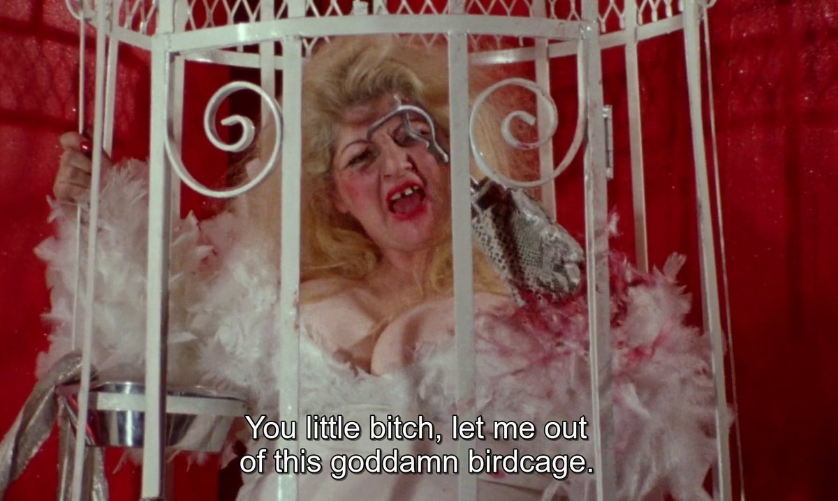Your daily John Waters screenshot tweet media