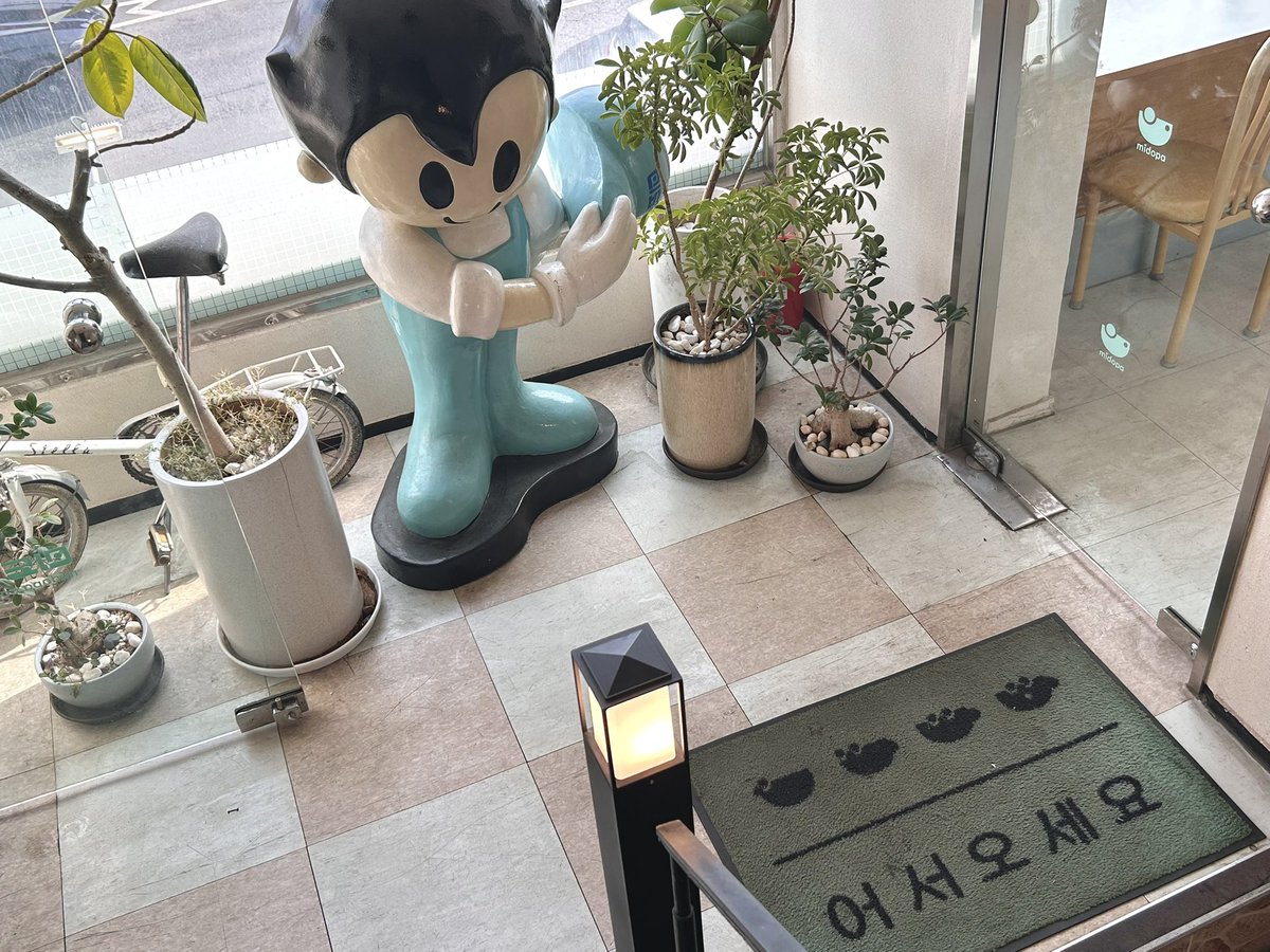 하은 tweet media