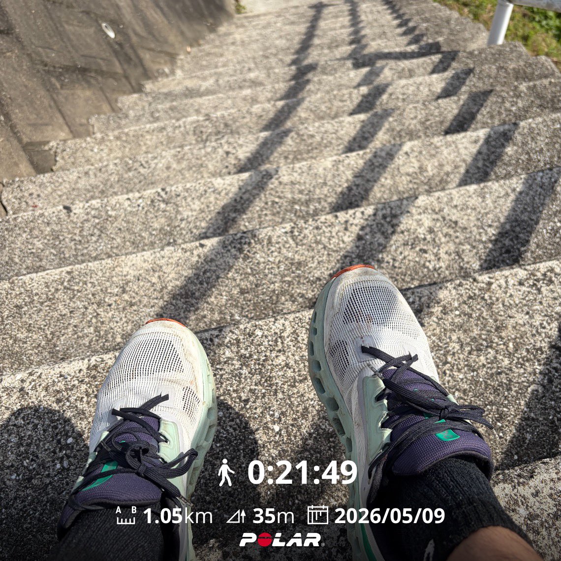 Silent Trail | 裏山行者 tweet media