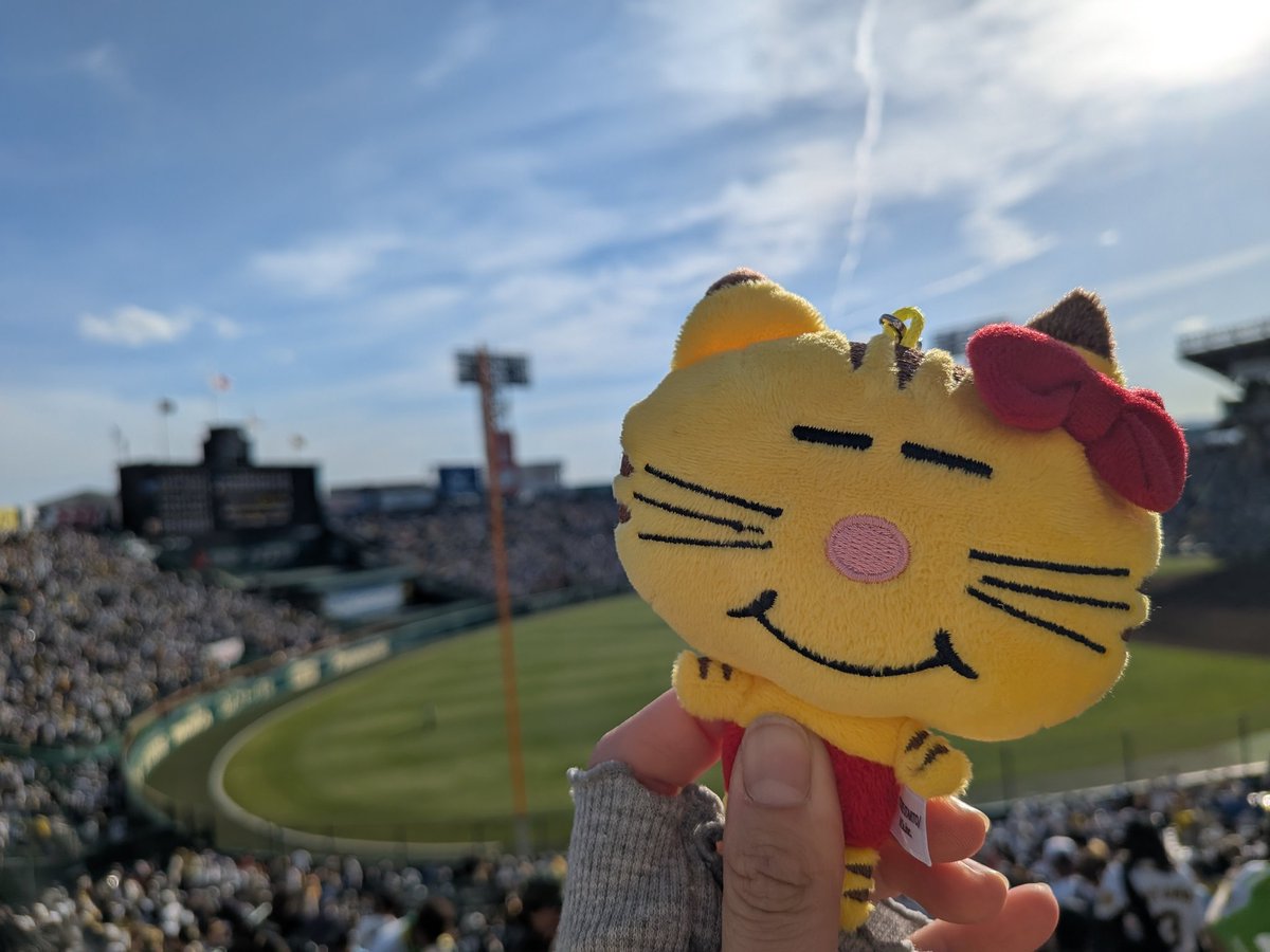 めんぼう tweet media