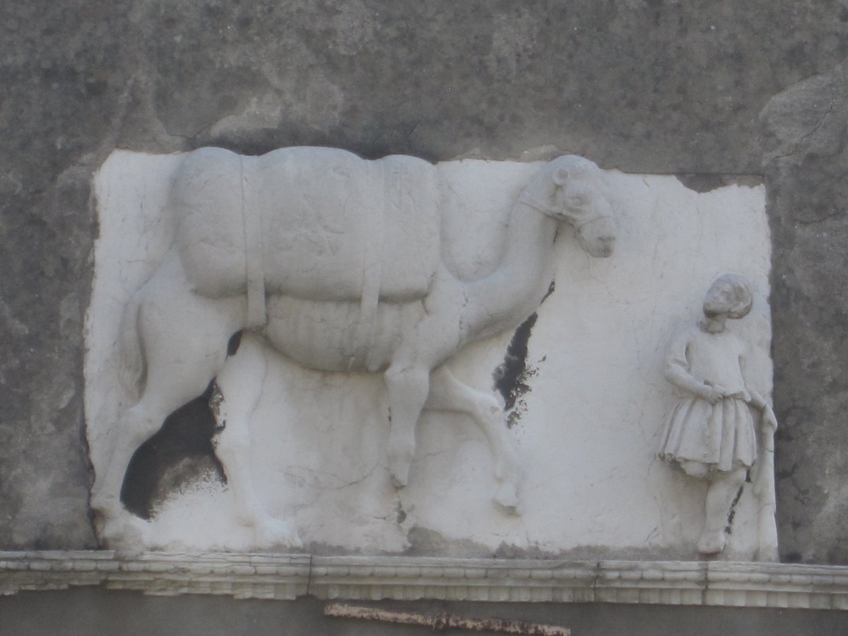 venning_mark's tweet photo. Venice Saturday special, celebrating what interesting items you find on walks in Cannaregio, on the facade of Palazzo Mastelli where every camel, well this one camel, tells a story. He always seems to be expecting me. https://t.co/P9o7g9JJPQ