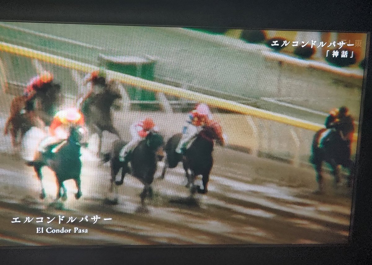 アド街に続いて土曜名馬座へ！ 今日は｢神話｣エルコンドルパサー。 明日