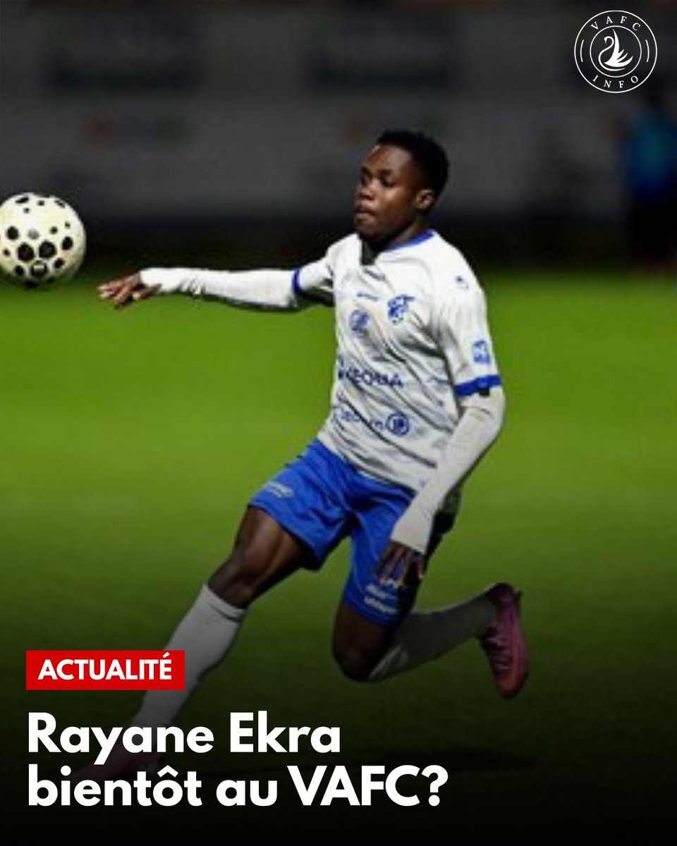 VAFC Info 🦢 tweet media