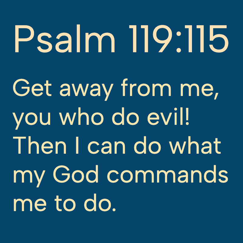 Daily Bible tweet media