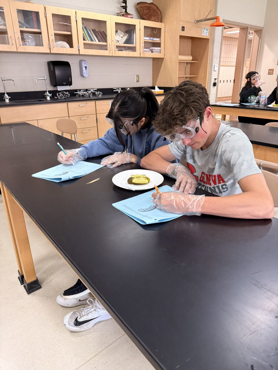 dseenarinewilso's tweet photo. Biology Classes learning about dissection with THE PICKLE LAB. @GenevaSchools1 @MJKingMEd https://t.co/TpcIB7IgbM