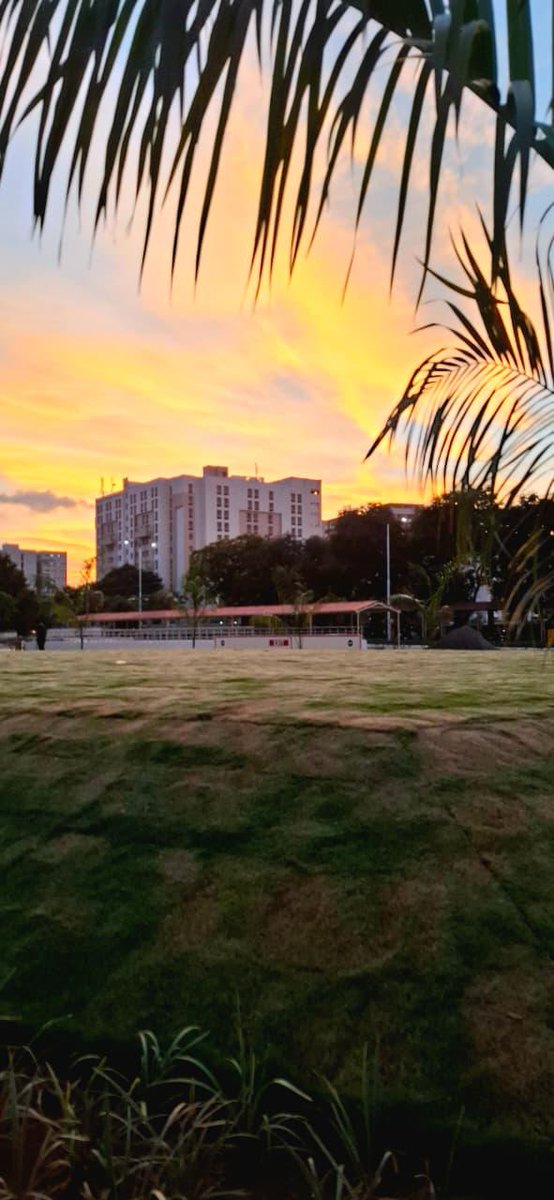 VIT_univ's tweet photo. Vellore heat during the day, Vellore art during the evening.

POV: You’re walking back from SJT and the sky decides to flex.

PC: Dr. Mausumi Goswami, School of Advanced Sciences

#VITVellore #LifeAtVIT #VelloreDiaries #SJT #CampusCaptures #CampusLife #SunsetChaser #VITian https://t.co/TxtNol4aaq