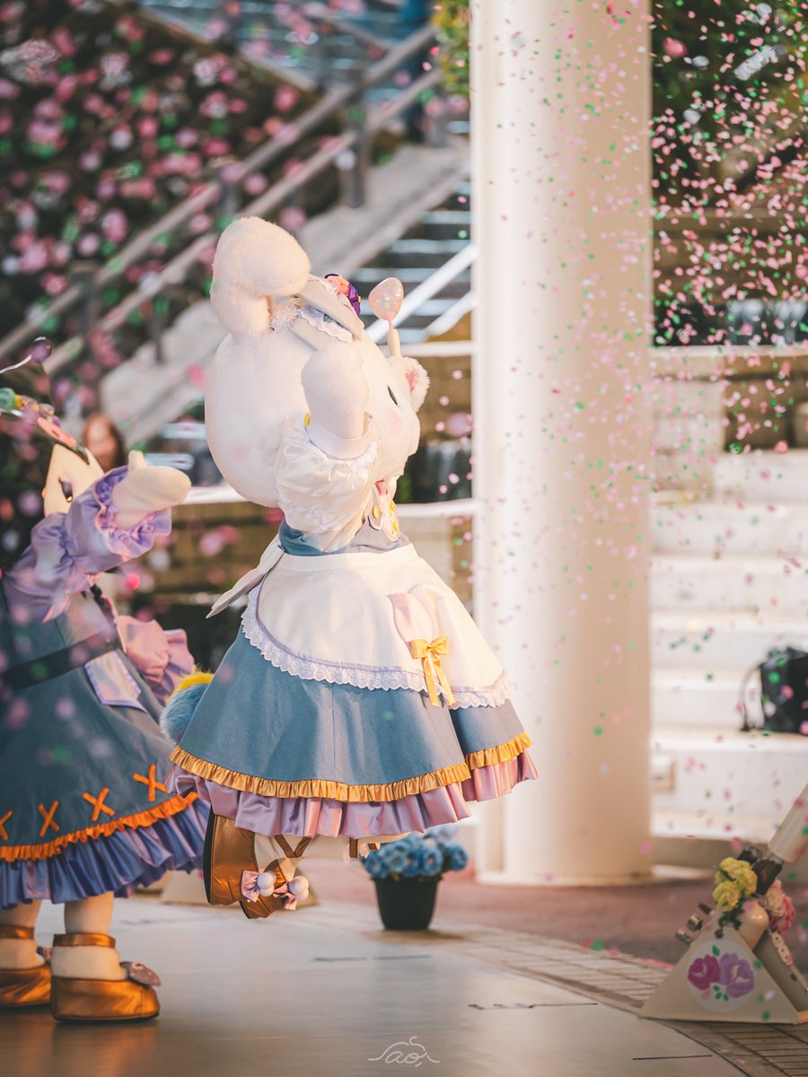 ao___mellchi's tweet photo. 前から見るとふんわり優しくて、横から見ると華やかだった🌸 https://t.co/2hPvfiQvxl