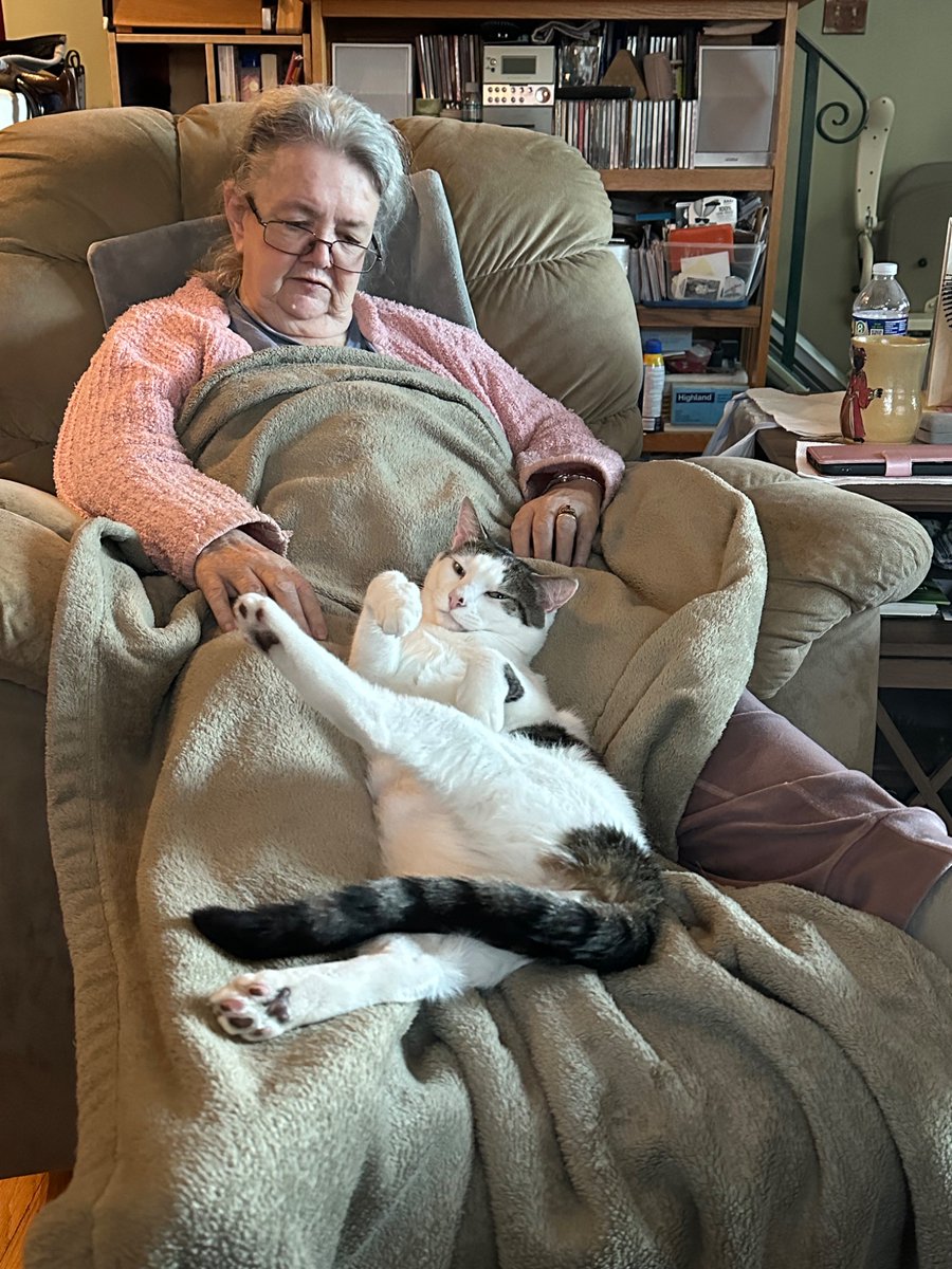 SchroderStark's tweet photo. Happy #Caturday all!

Put um up 🐾🐾
Nobody’s coming between me and Mommy this morning (she’s not feeling real good today).

#CatsOfTwitter #CatsOfX https://t.co/VSNQjg8yWi
