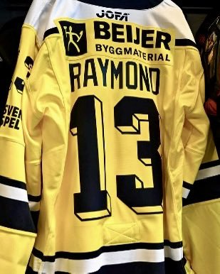 Red Wings Prospects tweet media
