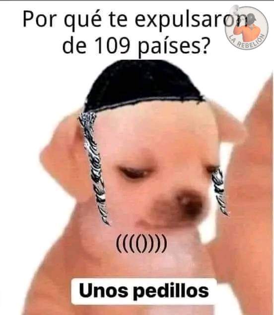 La Rebelión de los goyim tweet media