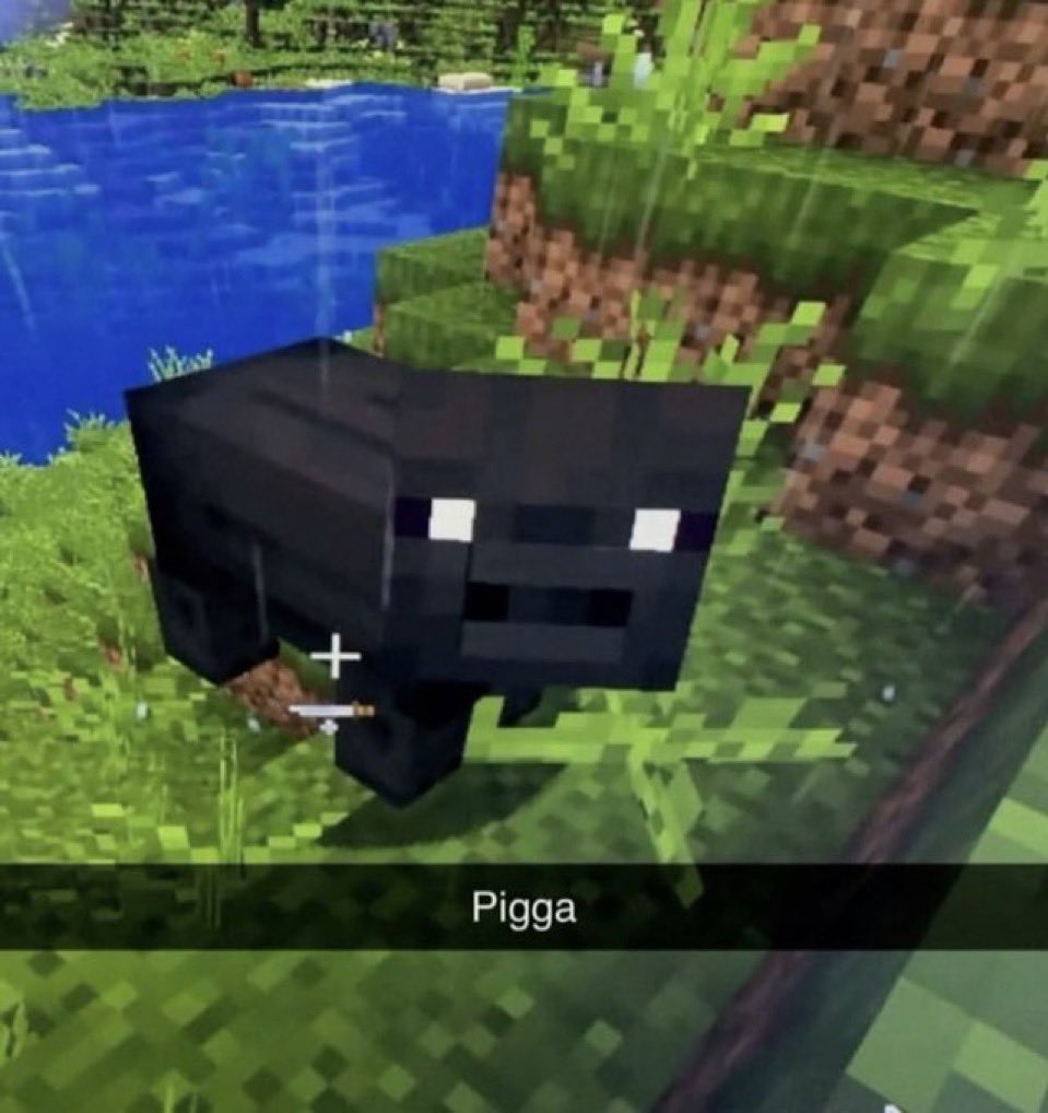 pigga