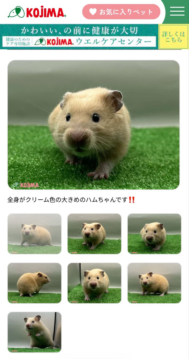 承太郎(ジョジョ) tweet media